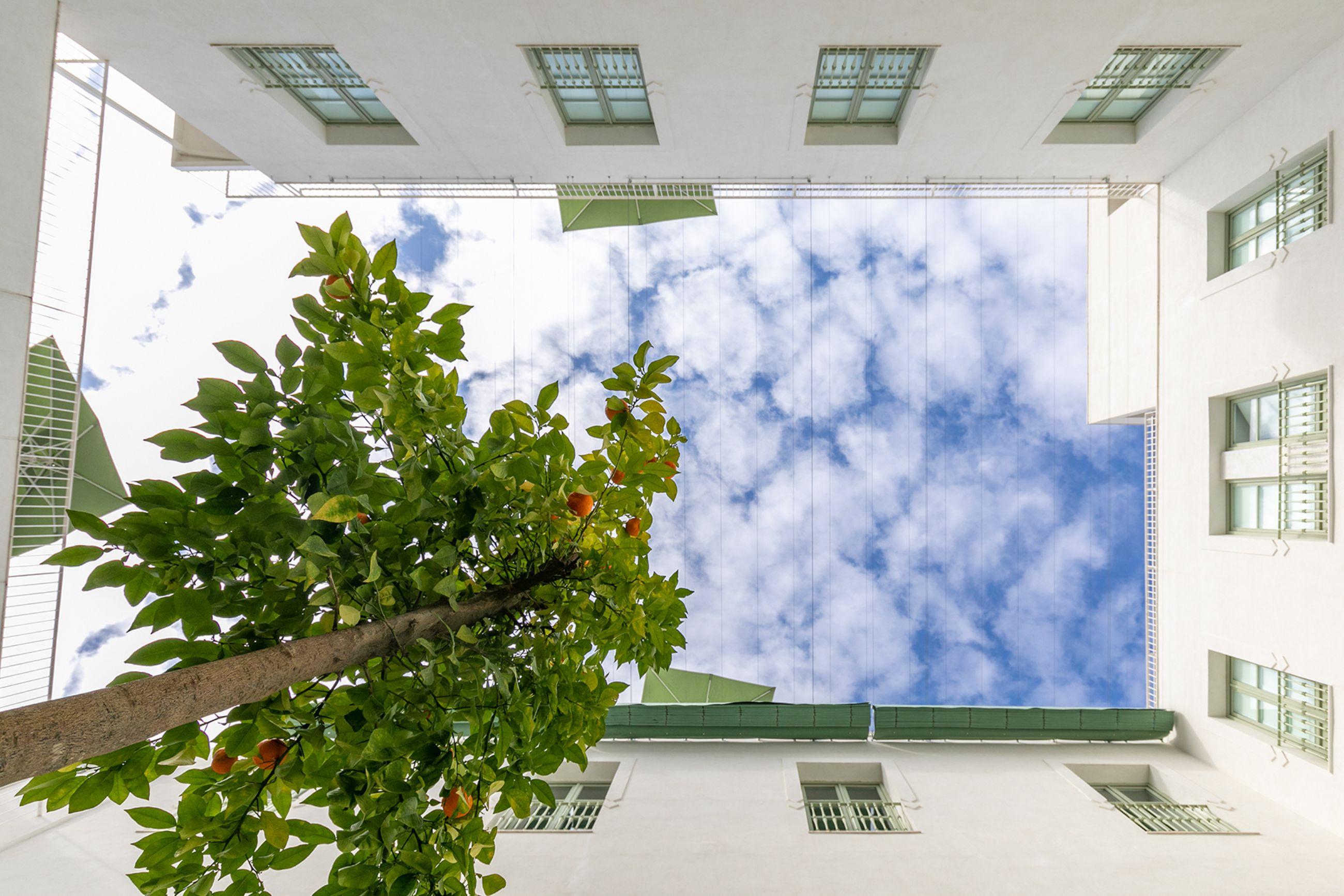 Holiday Rentals Los Salados Sevilla Dış mekan fotoğraf